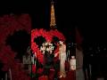 Romantic Proposal Infront of Eiffel Tower | Romantic Couple | Paris Love | Couple Goals | Tum Ho Toh