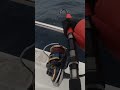 ヒュージカスタム TUNA73-3xxxの実釣テスト #shorts #deps #奥村和正