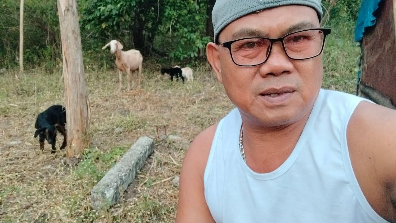 Tahimik na uli ang dagat mga Ka. Konse(teambully) souwierd