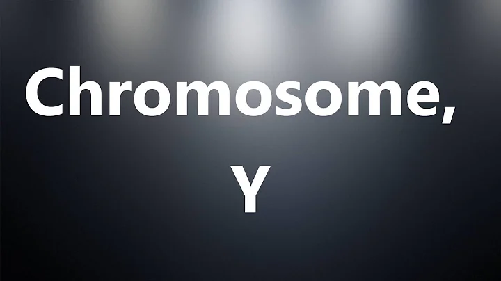 Chromosome, Y - Medical Definition and Pronunciation