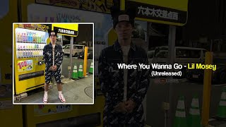 Lil Mosey - Where You Wanna Go (Unreleased)