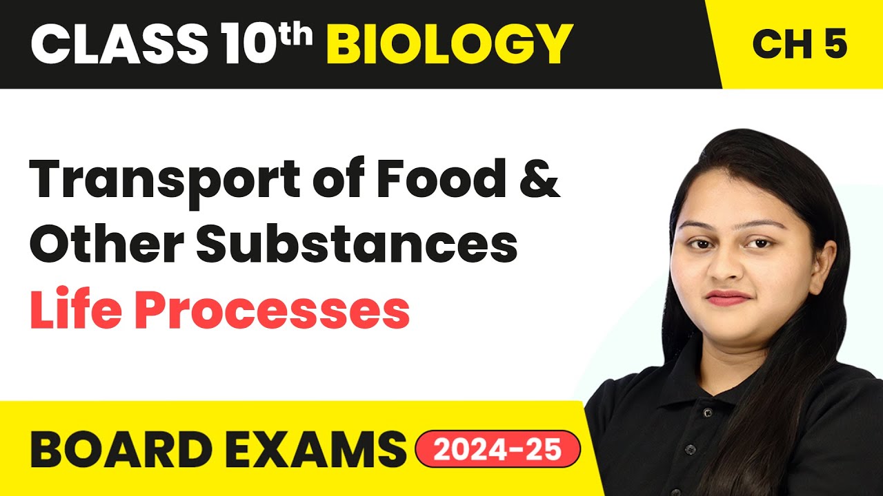 Transport of Food and Other Substances Life Processes Class 10