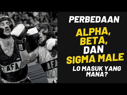 Video: Alpha laki-laki terlahir sebagai pemimpin