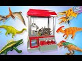 30 dinosaurs claw machine  tyrannosaurus rex velociraptor triceratops stegosaurus brachiosaurus