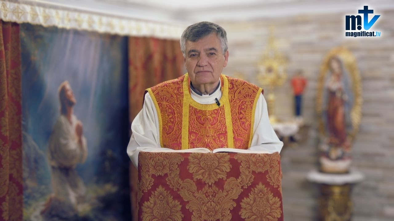 Viernes Santo: Vamos a llevar nuestra cruz por amor a Él | Homilía de hoy (03-04-2026) | P. Santiago