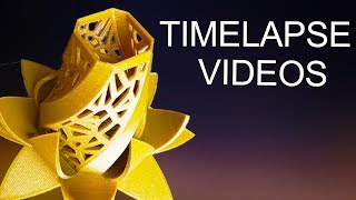 3D printing timelapse #2 (Creality ender 3)