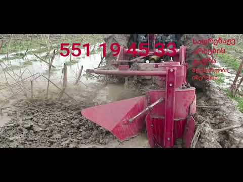 22 იანვარი, 2022