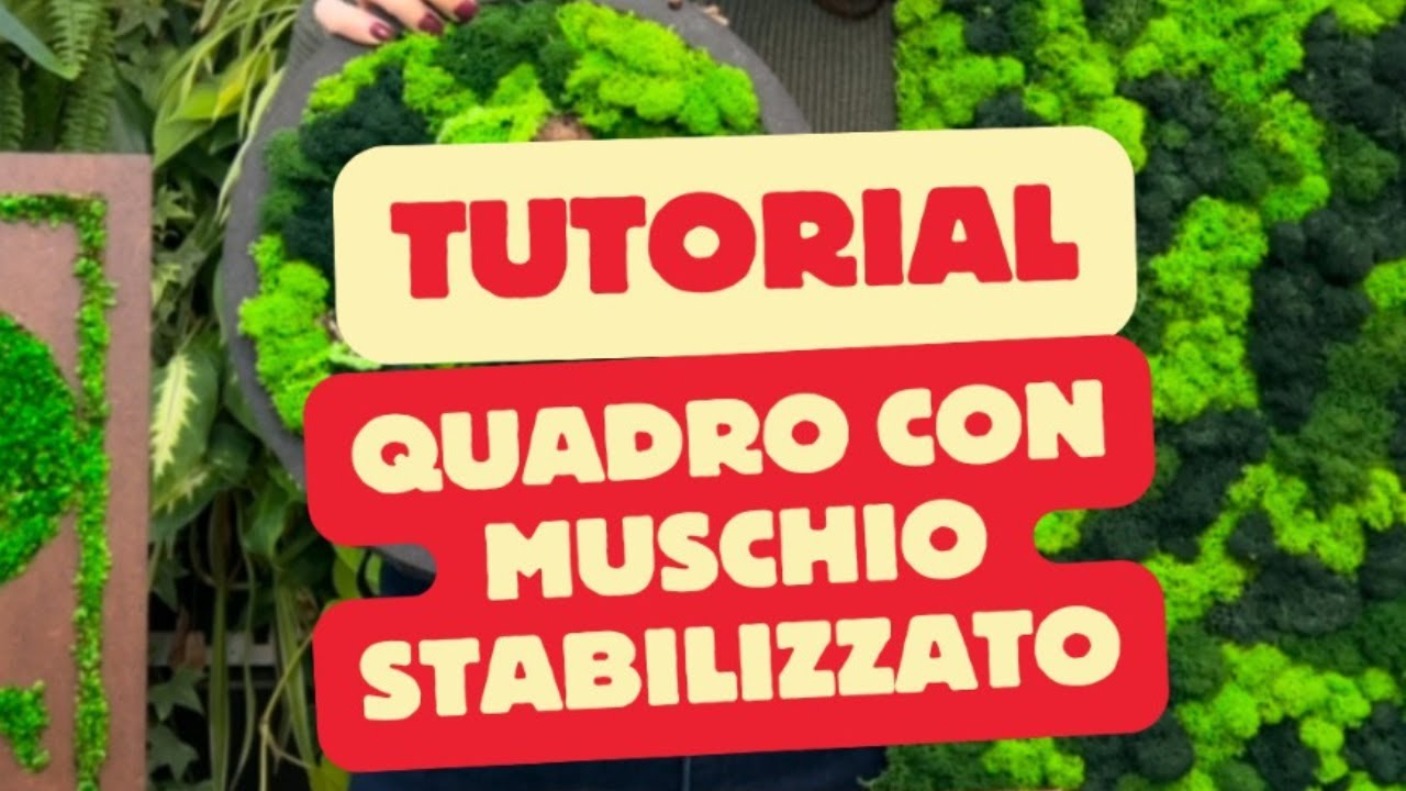 Kit Fai da te Verde Preservato