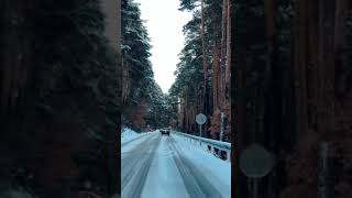 Carretera Nevada - Puerto de Cotos, Madrid Esp🇪🇸 @emiliusviajero