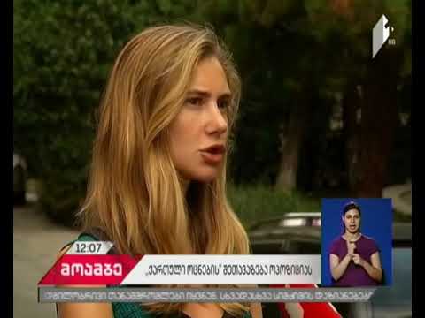 საკონსტიტუციო რეფორმა -  „ქართული ოცნება“ შიდა კონსულტაციებისთვის ემზადება