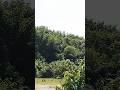 অল্প পেলেও আলহামদুলিল্লাহ #alhamdulillah