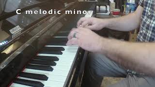 RCM Technique: Level 8 scales