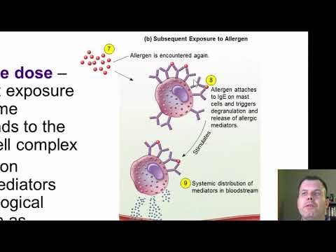 Chapter 16   Immune Disorders (CC)