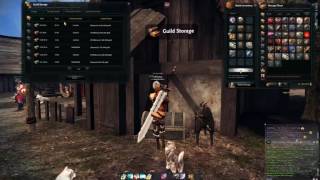 Guild Storage Gold Withdraw Bug with Admin 07/15/2016 [Guild Admin]