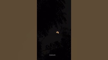تلاوة عبدالبديع غيلان ويوم القيامه 💛💛💛🎧🎧