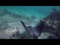 Mexico - Akumal Bay April 2016 Snorkeling GoPro