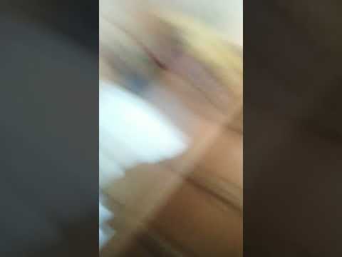هالاواه سيلاواه حركي لينا تيلاواه حاج مريض باغي داوا حركي لو تيلاوه