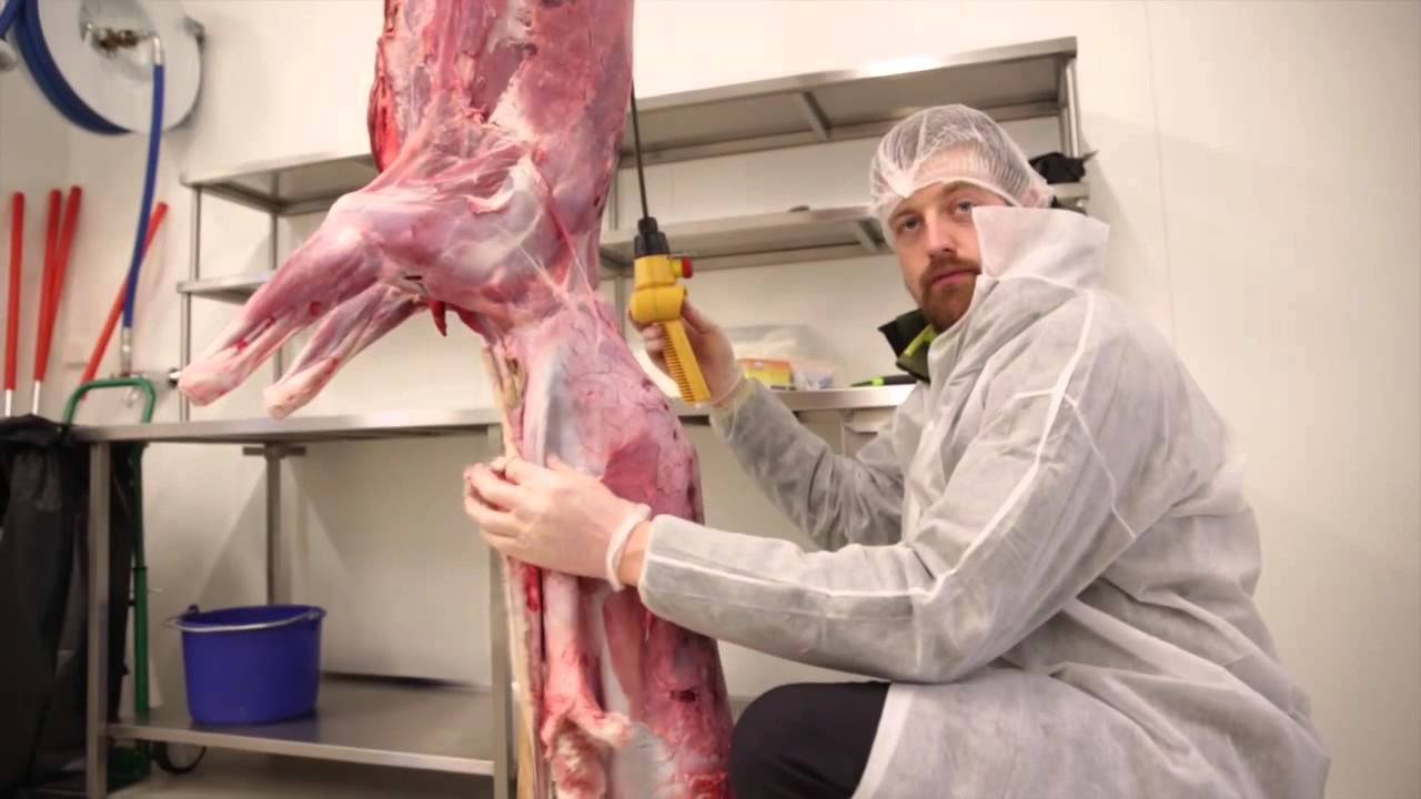 Slakt Og Viltbehandling Pa Jakt Og Fiskesenteret Pa Fla Youtube