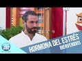 El estrés y su influencia al comer | Bienvenidos