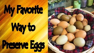 My Favorite Way to Preserve Eggs by Rain Country 6,413 views 2 weeks ago 13 minutes, 40 seconds