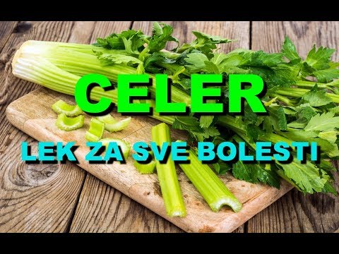 Video: Celer Ili Selera: Ljekovita Biljka Ravno Iz Vrta