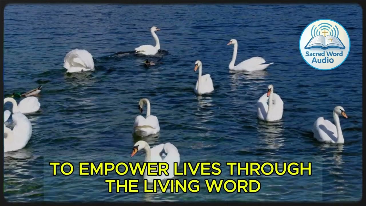 Do Daily Sacred Word Audios ACTUALLY Work?