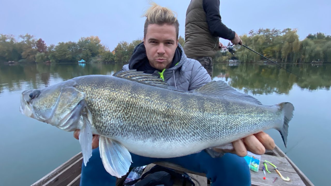 Ez az a fényváltás, amire minden horgász vár! Süllő parádé az Alcsi Holt-Tiszán🎣