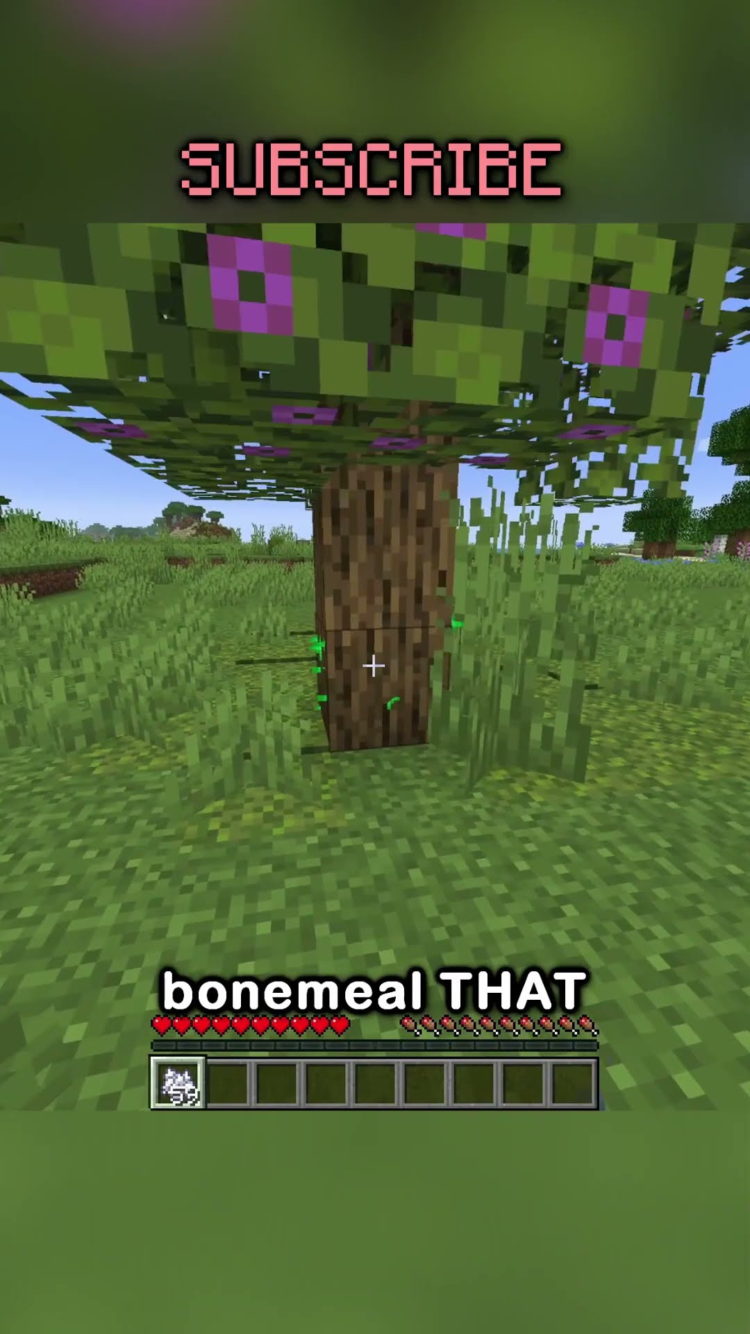 the least rare rarest things