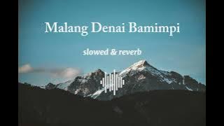 #silvahayati lirik Malang Denai Bamimpi (selowed & reverb)