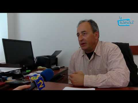 სატისის საქმიანობის  ანგარიში საკრებულოს კომისიას