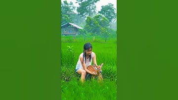 A Little Girl Bathes a Baby Deer in the Rain – Heartwarming Moment in Nature #rain #nature #short