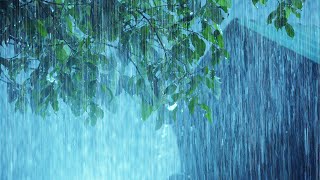⚡ Intense Thunderstorm Rain at Night | Heavy Rain & Very Strong Thunder Sounds | Night Rain Ambience