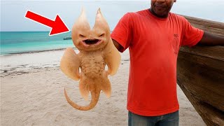 CRAZIEST Recently Discovered Animals