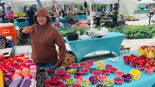 LINCOLN ROAD MIAMI SOUTH BEACH OUTDOOR MARKET PART 1☀️