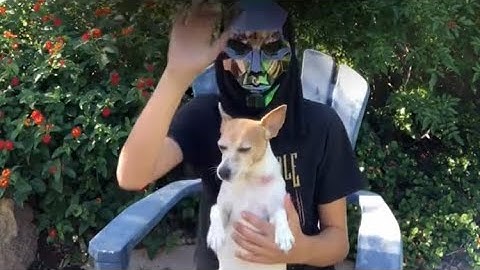 How to say 67 in different languages (plus a extinct lang.)