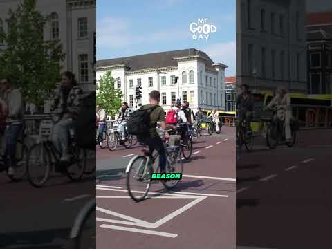 The Dutch Bicycle Culture #shorts