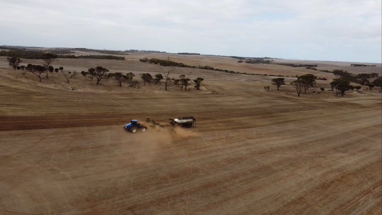Seeding 2024 - YouTube