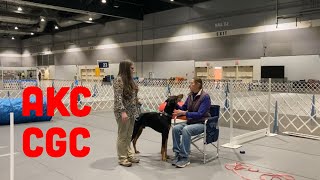 AKC Canine Good Citizen  CGC  Exercises Explained and Demonstrated