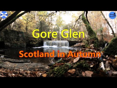 Gore Glen | Midlothian | Scotland in Autumn | Bengali Travel Vlog