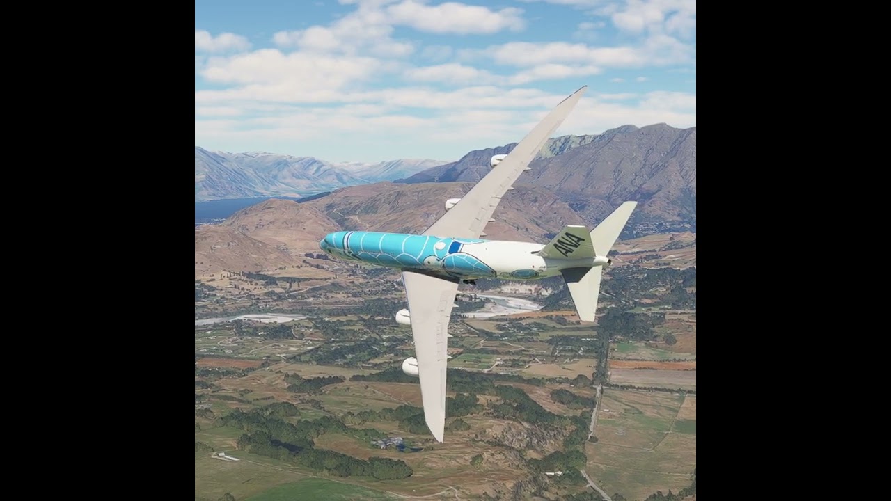 the carelessness of an airplane pilot 0147