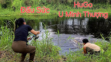 Bỏ quay phim. Chiến đấu với con cá khổng lồ U Minh Thượng | Săn bắt SÓC TRĂNG |