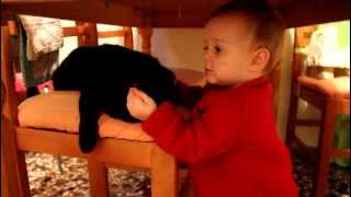 Baby play with cat