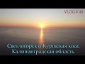 Светлогорск и Куршская коса / 2020 VLOG # 43