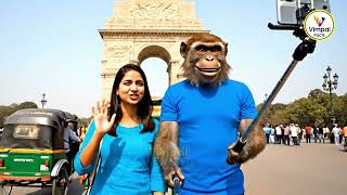 Ai  Funny Monkey Vlog | Dilli Gate Vlog
