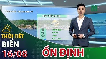 Thời tiết biển 16/08/2021: Biển ổn định, thuận lợi ra khơi| VTC14