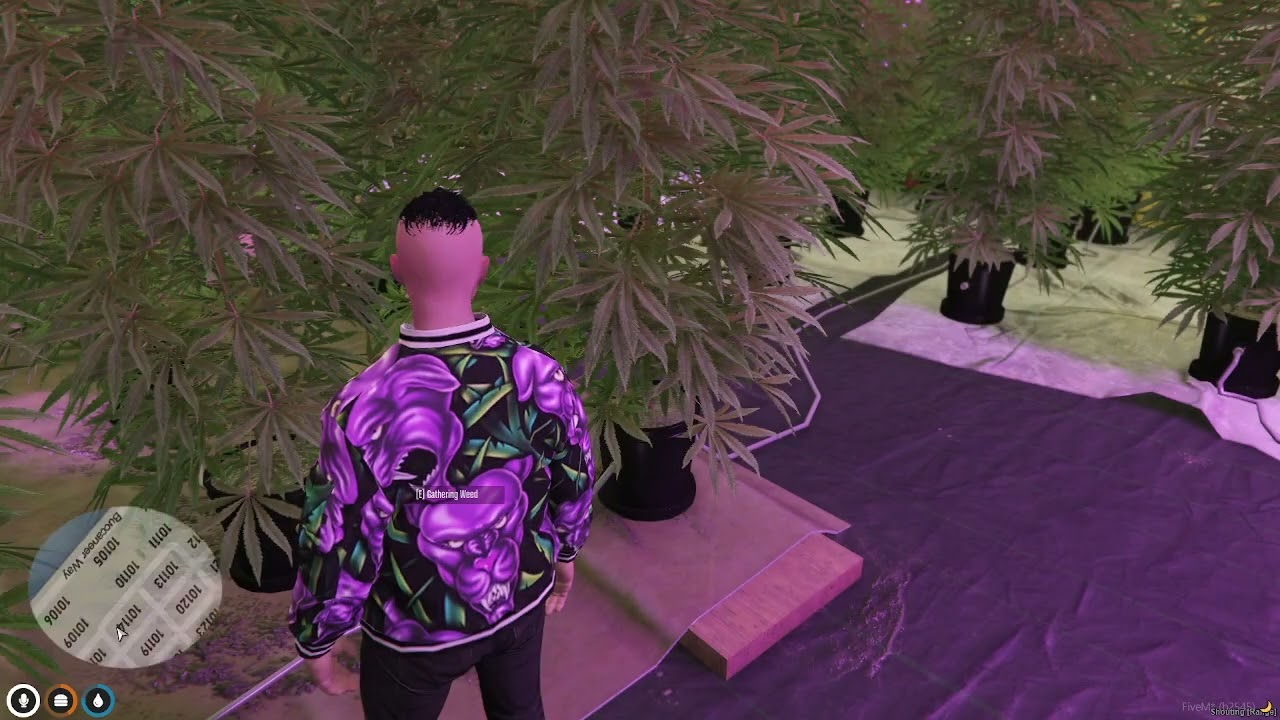 QBCore Framework Latest - GTAV FiveM