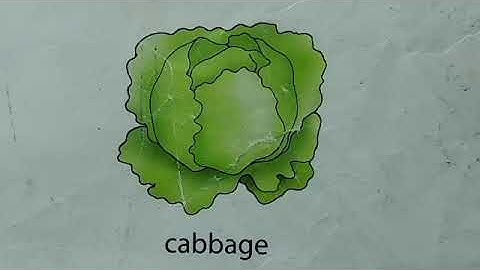 Class 4 Science, Chapter 1: Green Plants - The Food Producers (Part 1)