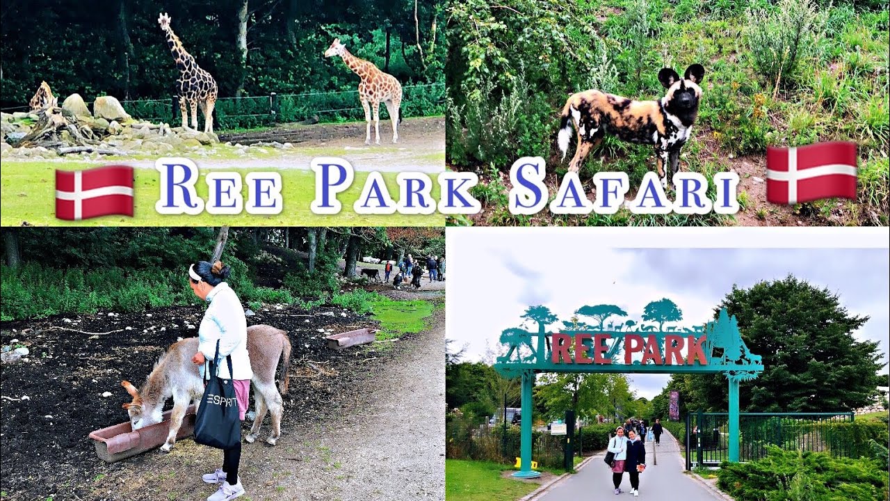 ree park safari run