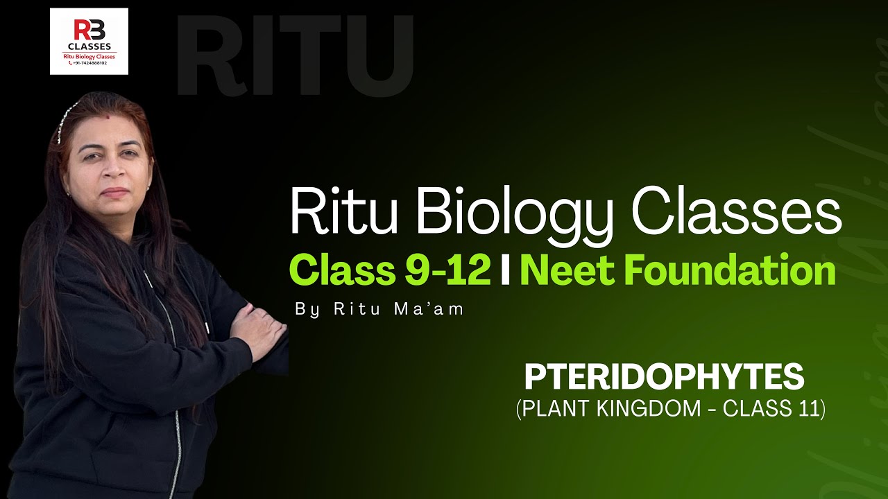 Plant Kingdom – Pteridophytes  Class 11 Biology  NCERT  CBSE 