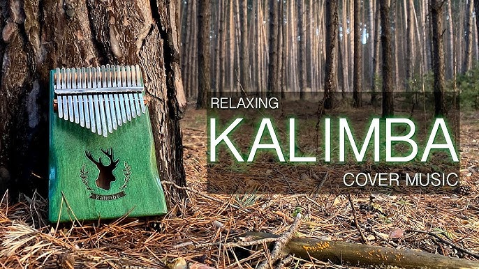 Jouer de la KALIMBA, c'est facile - Des sons intuitifs pour se détendre/  s'endormir 